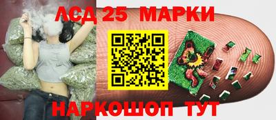 сатива Гай