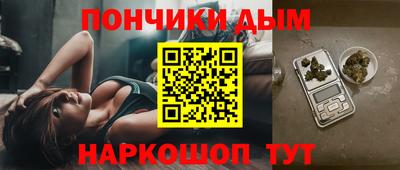 сатива Гай