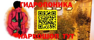 дживик Гагарин