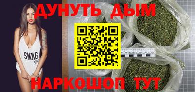 сатива Гай