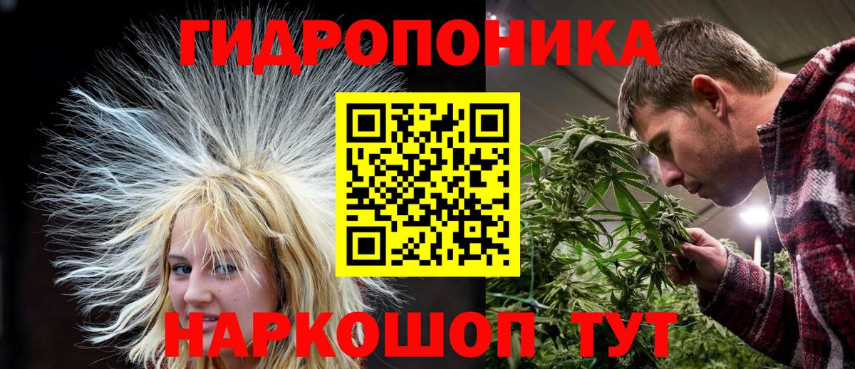 Канабис гибрид  Бошки Шишки планчик  МАРИХУАНА семена  Ливны  Вход с VPN 
